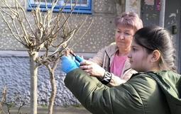 В клубах по месту жительства «Олимпия», «Радуга» и «Алые паруса» успешно прошла экологическая акция «Весенние цветы».