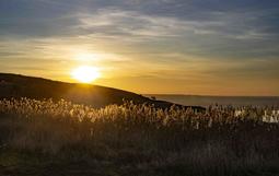 Юный фотограф, Ярослав Гусельников из объединения "Кадрик" — стал победителем городского фотоконкурса «Зеленая планета»! 📸🌿