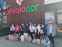 Волонтеры