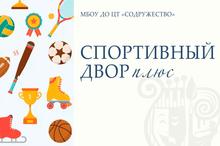 баннер объединения Спортивный двор