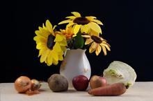  Башкатова Софья Александровна. Молодой специалист, увлечённый своим делом. Софья Александровна занимается профессиональной фотосъёмкой, а её любимый жанр — портрет. В настоящее время она продолжает обучение на художест