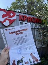 Даже если у вас нет возможности взять питомца домой, вы можете стать частью их истории: 1. Подарить дом: Присмотритесь к обитателям «Краснодога». Возможно, именно там вас ждет верный друг. 2. Стать волонтером: Помощь руками (прогулки, уборка, социализация) бесценна. 3. Помочь финансово или вещами: Корма, лекарства, амуниция — приют всегда нуждается в поддержке.